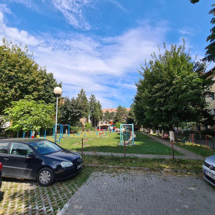 My Cozy Nest - 2 Rooms Apartment Târgu-Mureş Buitenkant foto
